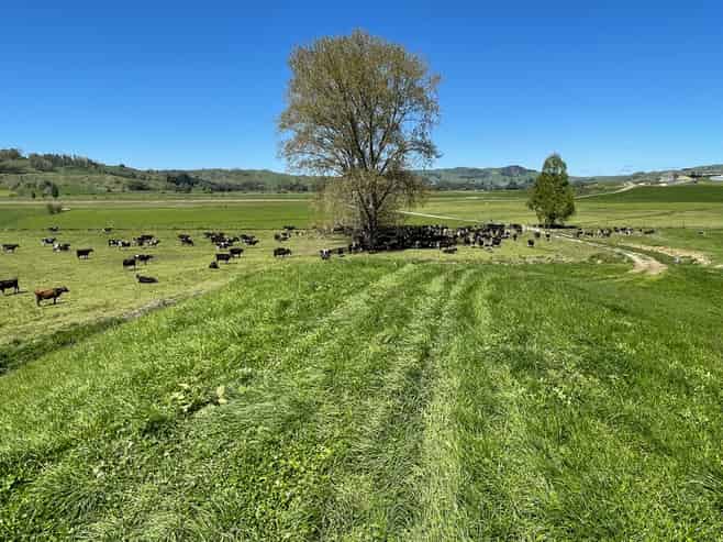 135 Whataroa Road, Te Kuiti