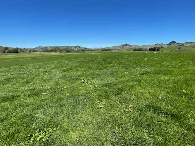 135 Whataroa Road, Te Kuiti