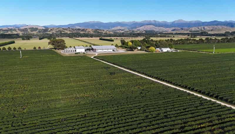 286 Paierau Road, Opaki, Masterton