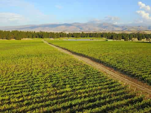 351 Maori Point Road, Tarras