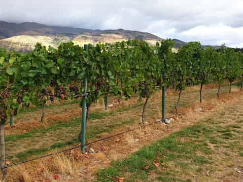 351 Maori Point Road, Tarras