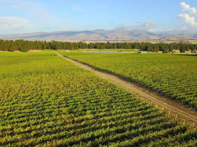 351 Maori Point Road, Tarras