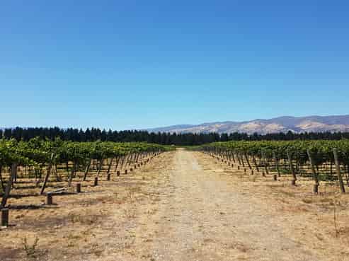 351 Maori Point Road, Tarras