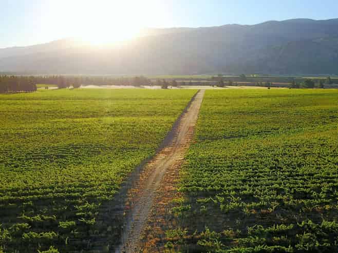 351 Maori Point Road, Tarras