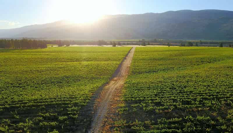 351 Maori Point Road, Tarras