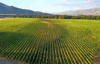 351 Maori Point Road, Tarras