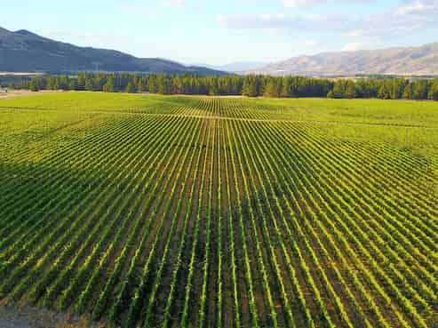 351 Maori Point Road, Tarras