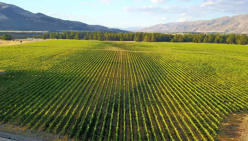 351 Maori Point Road, Tarras