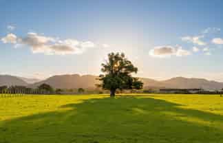 284 Woodside Road, Greytown