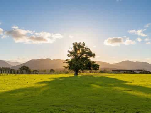 284 Woodside Road, Greytown