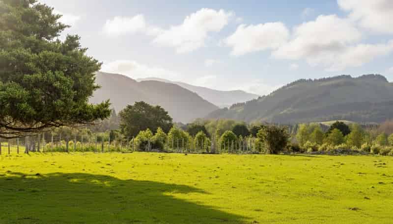 284 Woodside Road, Greytown