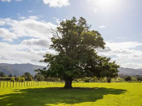 284 Woodside Road, Greytown