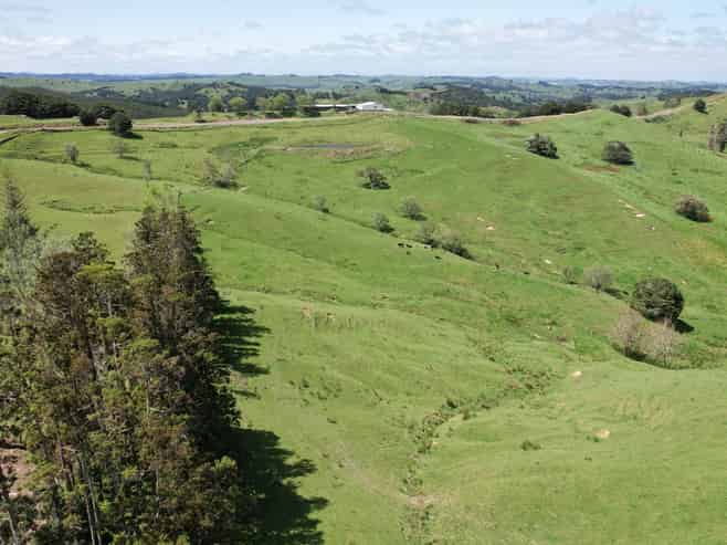 282 Girls High School Road, Pukehuia