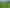 1158 Burma Road, Tapora