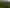 1158 Burma Road, Tapora
