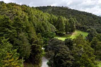 1158 Burma Road, Tapora