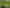 1158 Burma Road, Tapora