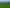 1158 Burma Road, Tapora