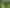 1158 Burma Road, Tapora
