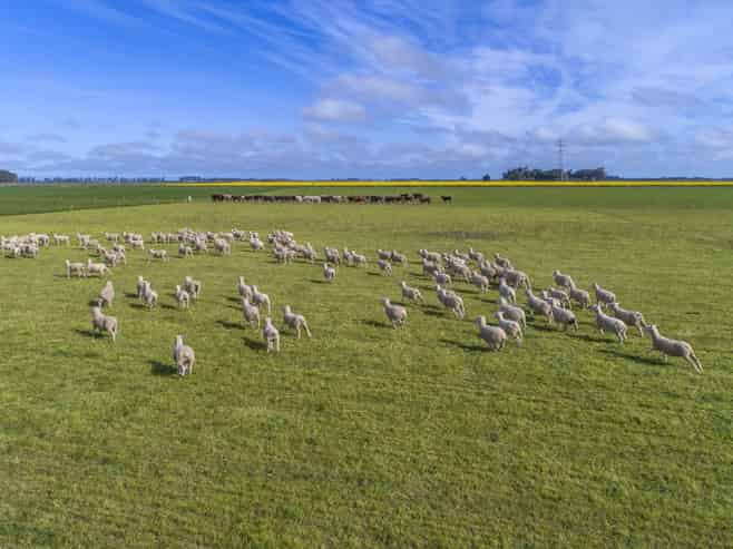 135 Copley Road, Chertsey