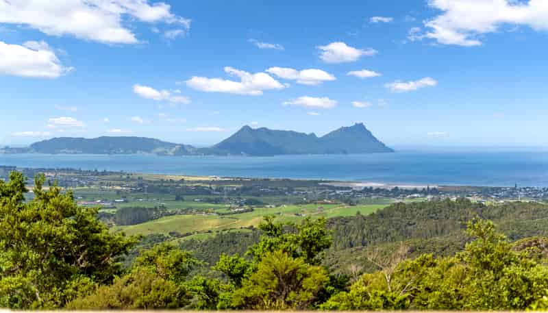 507 Prescott Road, Ruakaka