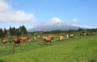 2105 Hastings Road, Mahoe