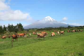 2105 Hastings Road, Mahoe