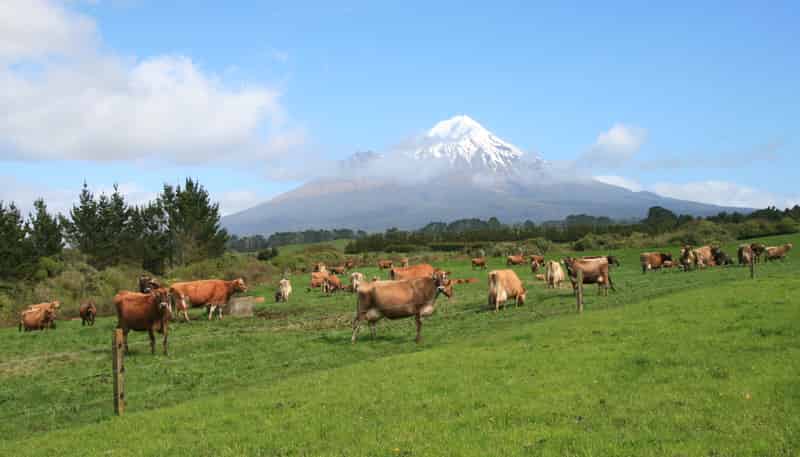 2105 Hastings Road, Mahoe