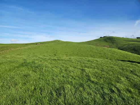 899 Te Akau Road, Te Akau