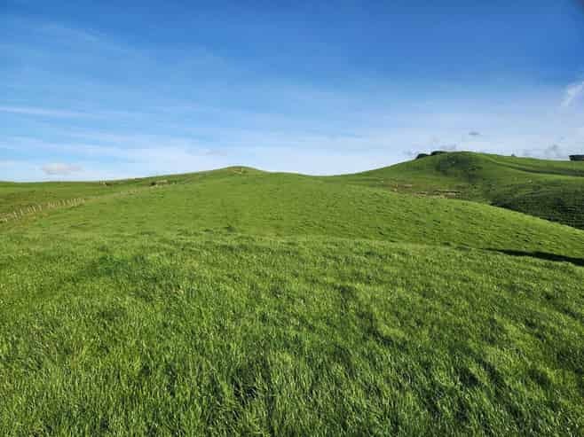 899 Te Akau Road, Te Akau