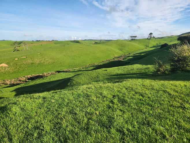 899 Te Akau Road, Te Akau