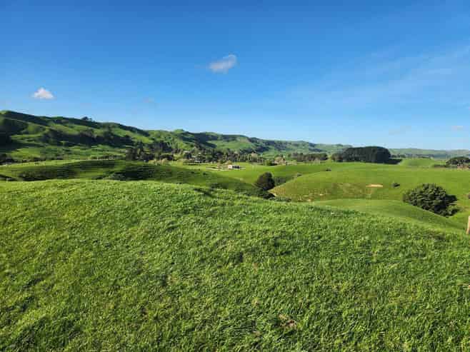 899 Te Akau Road, Te Akau