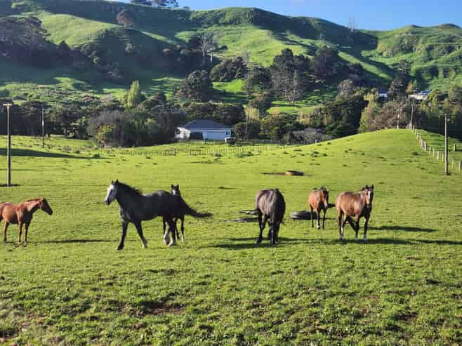 899 Te Akau Road, Te Akau