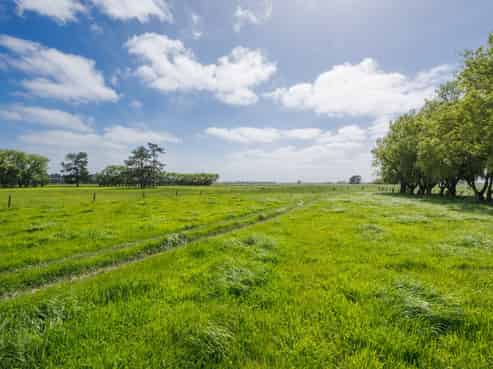 1331 Rongotea Road, Kairanga