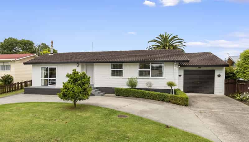 20 Irene Crescent, Dinsdale