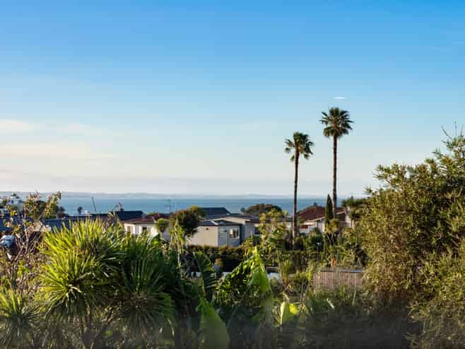 41 Brilliant Street, St Heliers