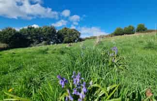39 Castle Street, Riverton