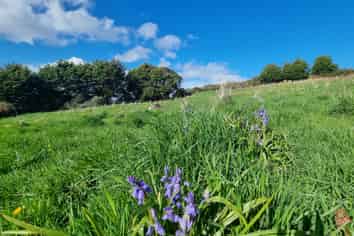 39 Castle Street, Riverton