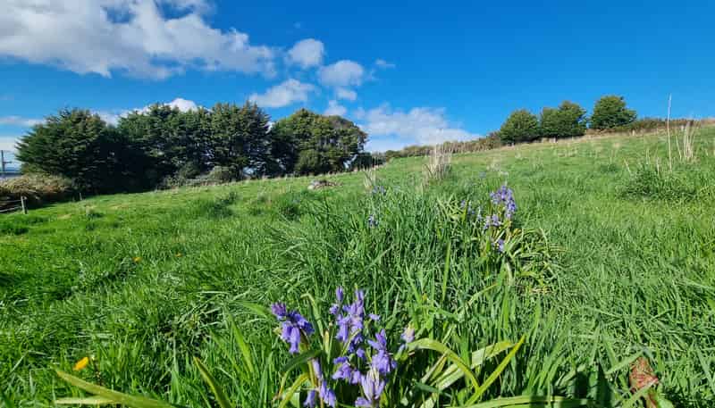 39 Castle Street, Riverton
