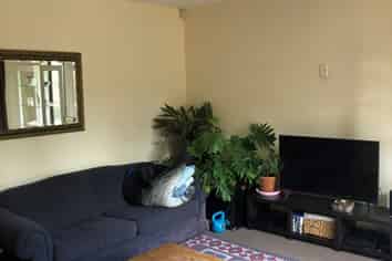 51 Balgay Street, Upper Riccarton