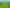 1241 Blythe Road, Cheviot