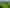 1241 Blythe Road, Cheviot