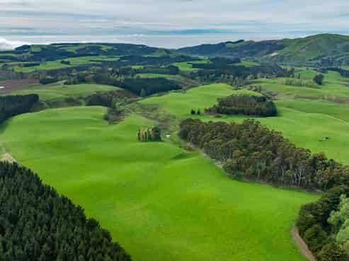 1241 Blythe Road, Domett