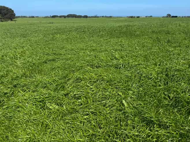 103 Turu Road, Oaonui