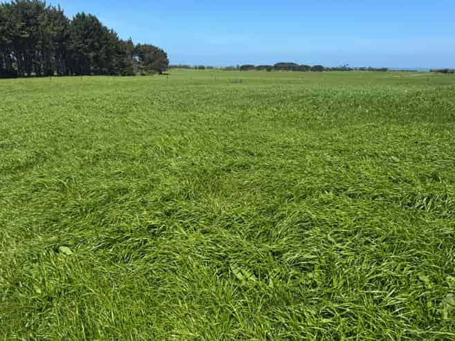 103 Turu Road, Oaonui