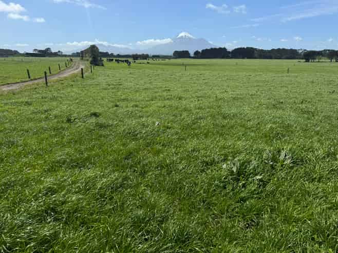 103 Turu Road, Oaonui