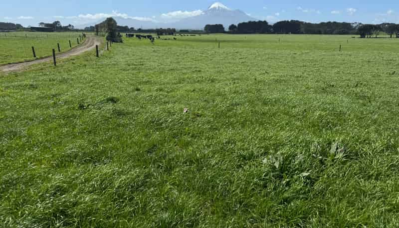 103 Turu Road, Oaonui