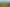 297 Kitchener Road, Pukekohe