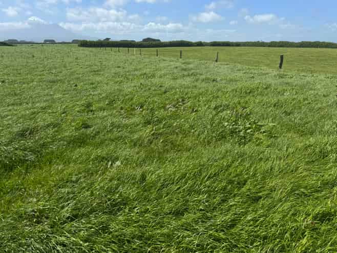 4782 South Road, Opunake