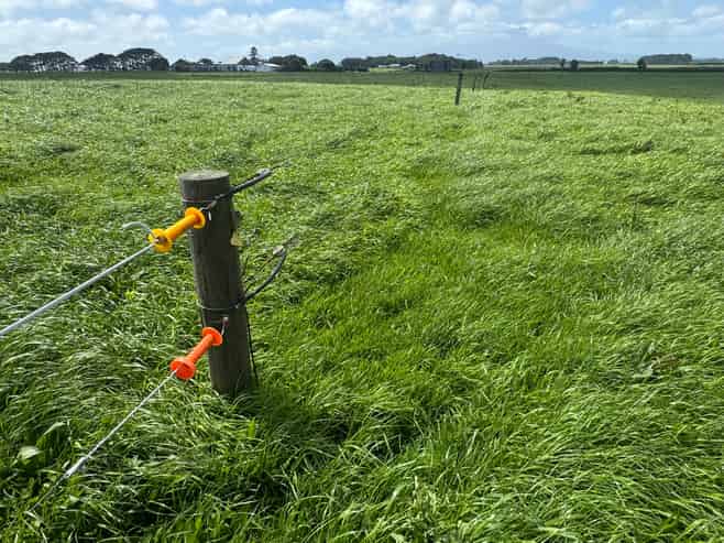 4782 South Road, Opunake